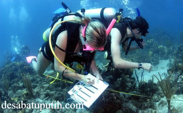 Jurusan Ilmu Kelautan